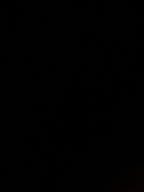 cindythecutest photo 1