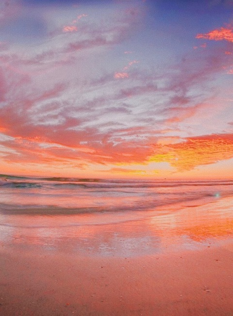 honeybear333 photo 1