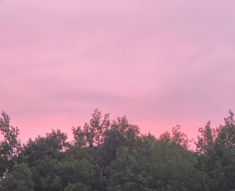 leighamaeroa photo 1