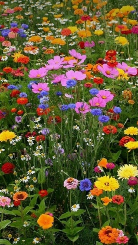 lunalovesgood24 photo 1