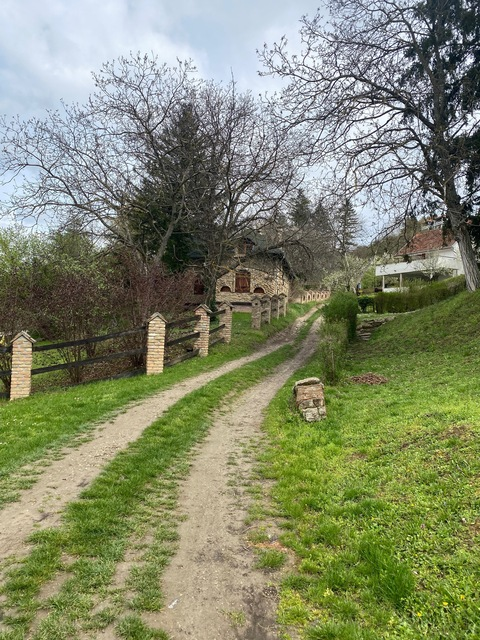 sarahcooperxo photo 1